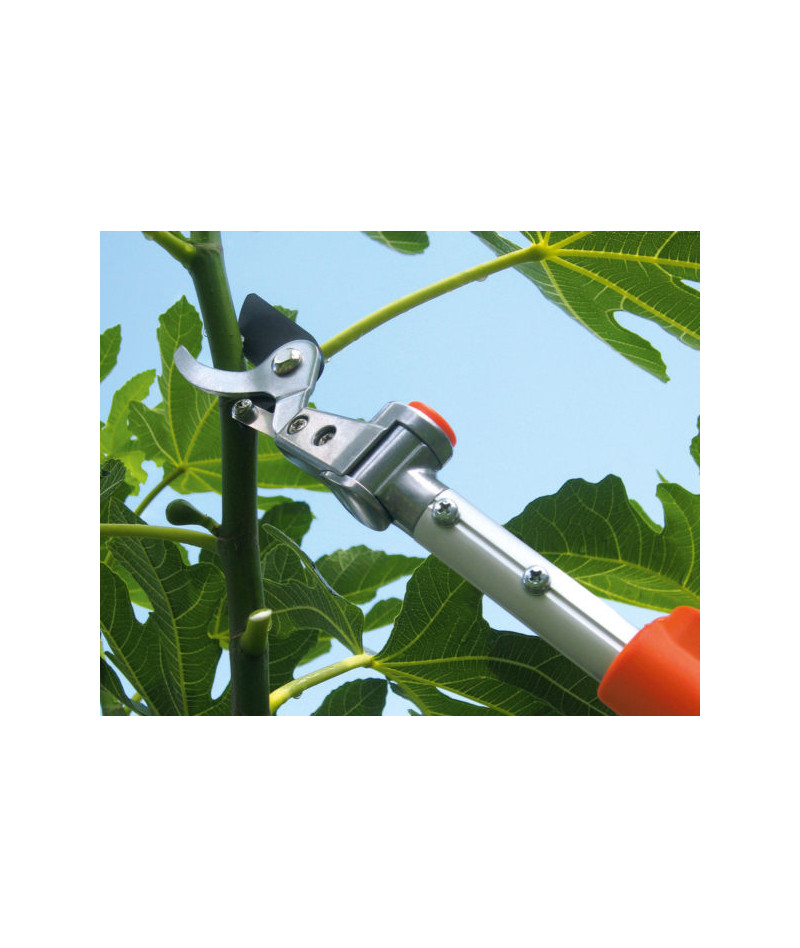 STOCKER Forbice telescopica...