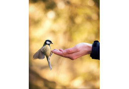 CON PRESTIGE AIUTI LA LORO PARQUE FUNDACION